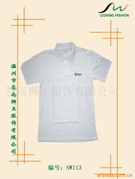苍南狮王服饰男式T恤系列 品质与风格的完美融合